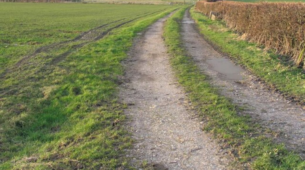 View towards Worminster and Mendip Hills