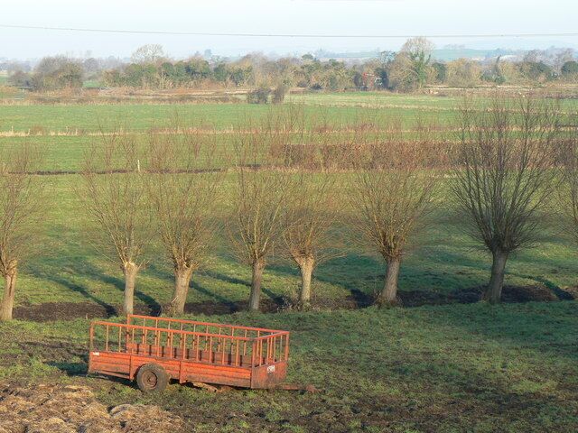 Willows and Rhynes at Westhay The long straight drainage ditches on the Levels are known as 'rhynes' - possibly a Dutch derivation from the engineers who created this landscape? Willows, regularly cut back, are a traditional feature of this landscape, but in many places have been removed. Grant schemes have recently encouraged farmers to retain this landscape of pasture, rather than ploughing up for maize or other crops.