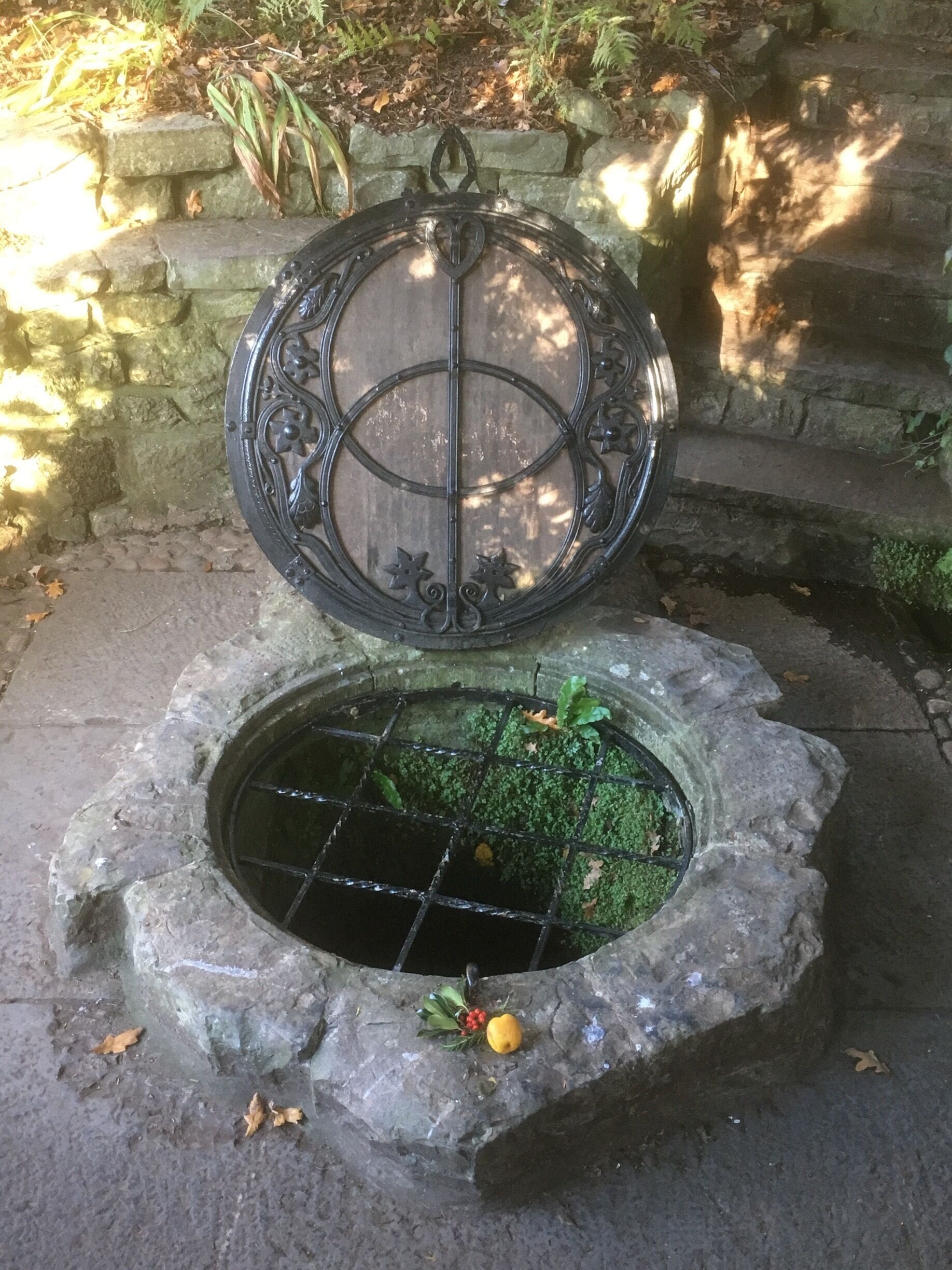 This is the ideal spot for peace and tranquility 💕