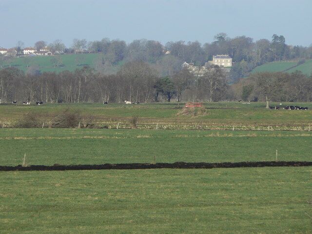 Fields at Westhay Across the foreground, the black line of material dredged up during ditching indicates the presence of peat in this area. The landscape is completely flat for two or three miles until the hill on which stands the prominent white house known as Castle Farm at Heath House. (The hill is locally known as the Isle of Wedmore, betraying a past when the Levels were all water.) Invisible in this picture, the River Brue runs between embankments, approximately where the red farm vehicle and cows are. It becomes very visible in times of flood.