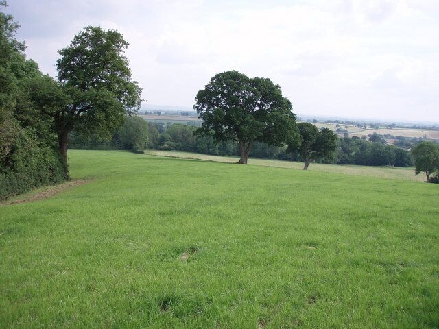 fields by Washingstones Gully Taken from the footpath - sadly we could not get into the overgrown Washingstones Gully to see if there were any.