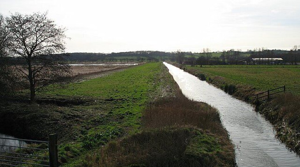 The South Drain Taken from the old railway bridge, this shows the South Drain as it flows northwards to meet the Glastonbury Canal. Both then head west-north-west across the Somerset Levels towards the Bristol Channel. On the left is part of Walton Heath. More specifically, the area seen in the photograph is a former peat excavation area which was known as 'Signal Pole' and was worked by Fisons PLC. A lot of the fields or 'grounds' where peat excavation took place were given names. It is now flooded and forms part of the Ham Wall Reserve.