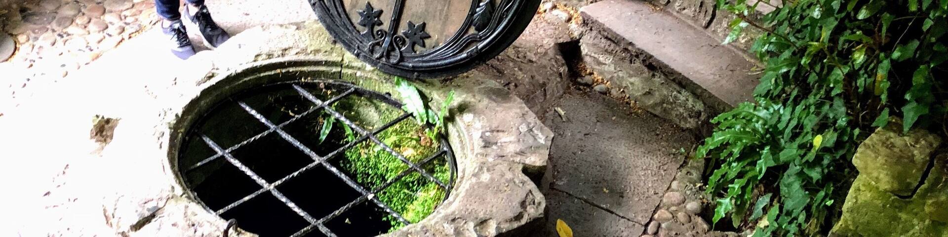 The tranquil Chalice Well in Glastonbury, U.K.