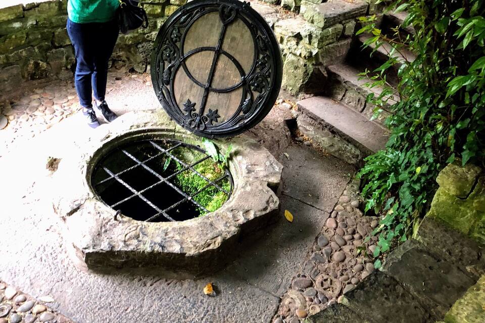 A stone well with a decorative cover, surrounded by a stone pathway and greenery.