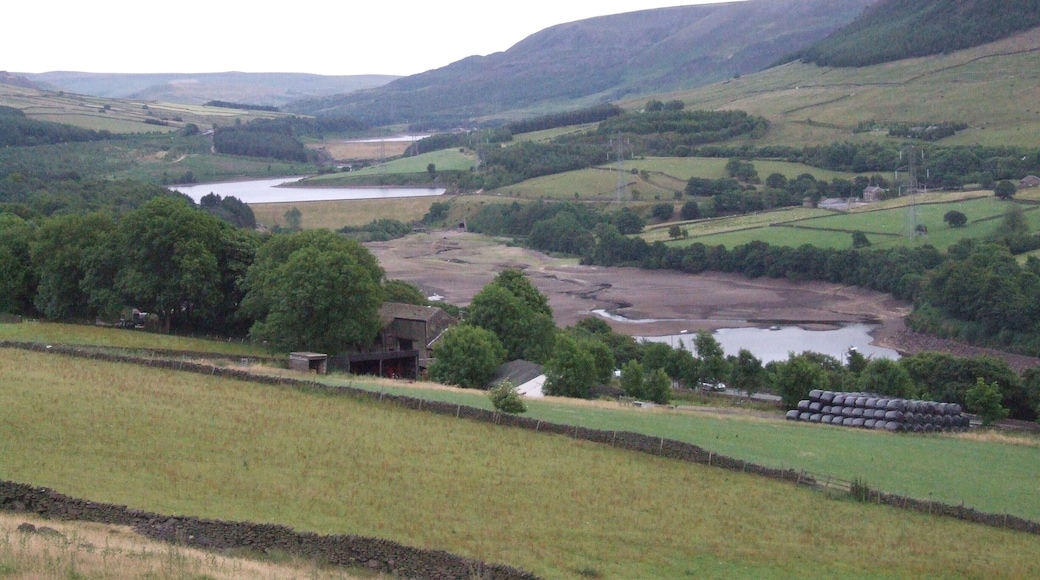 Tintwistle Low Moor is to the north of Longdendale, where the reserviors of the Longdendale Chain provide water for Manchester, and compensation water for the River Etherow. During the drought of 2010 Valehouse Reservoir was empty.