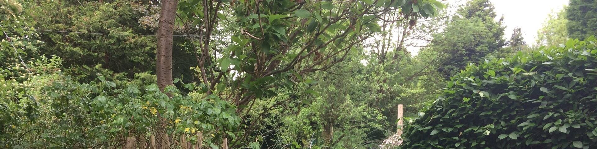 A little snicket...Glossop Derbyshire England