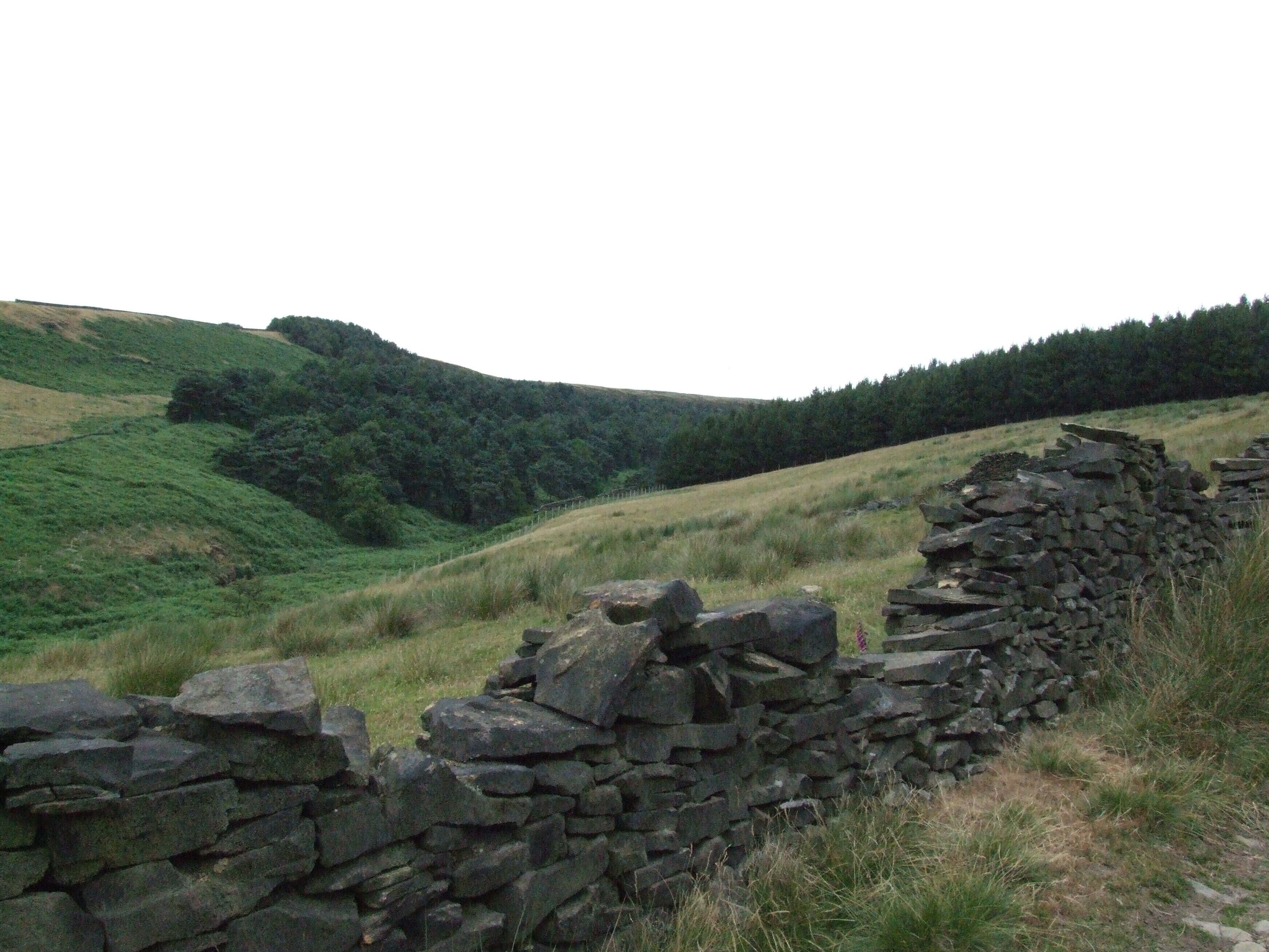 Tintwistle to the north of Longdendale, where the Pennines rise again to over 400m. Tintwistle was traditionally in Cheshire, but is now in Derbyshire. Approaching Arnfield Brook from Tintwistle.