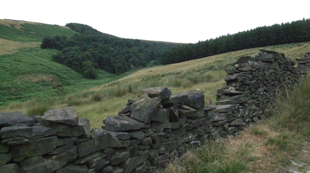 Tintwistle to the north of Longdendale, where the Pennines rise again to over 400m. Tintwistle was traditionally in Cheshire, but is now in Derbyshire. Approaching Arnfield Brook from Tintwistle.