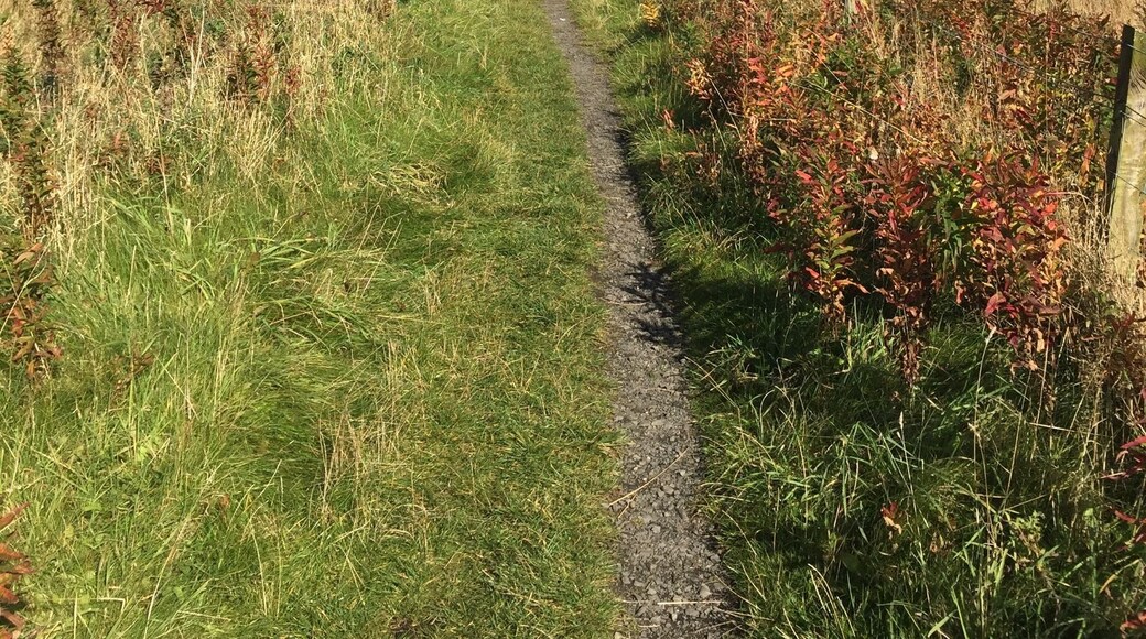 Crowden is on the busy A628 which crosses the Pennines between South Yorkshire and Greater Manchester. It is surrounded by moorland on a high plateau and is popular with summer visitors.