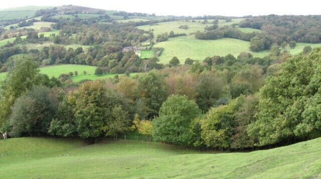 Toward Warhurst Fold