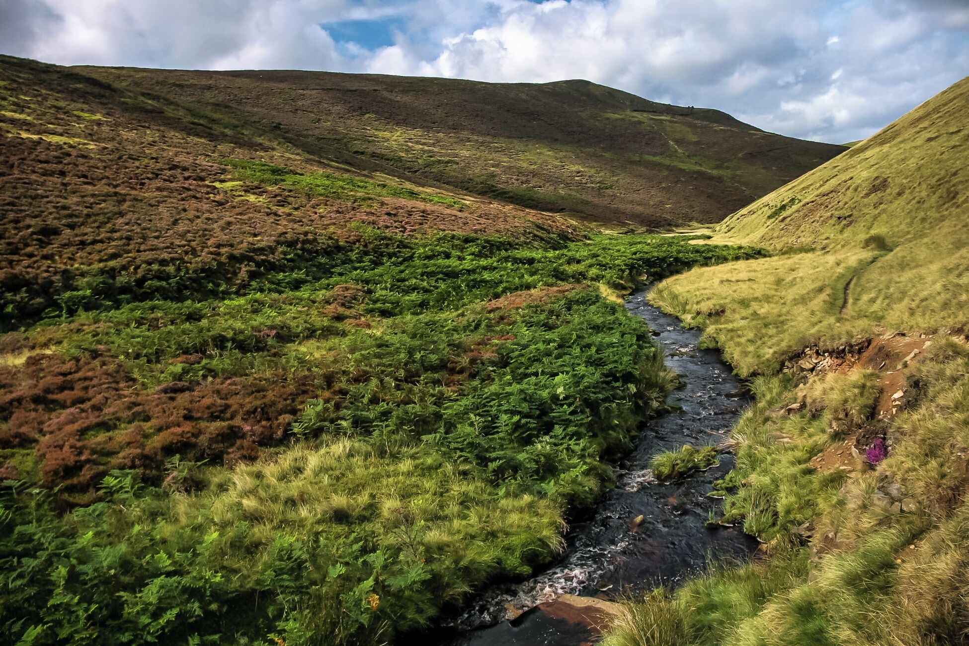 A river flowing through a valley with green vegetation and hills in the background.