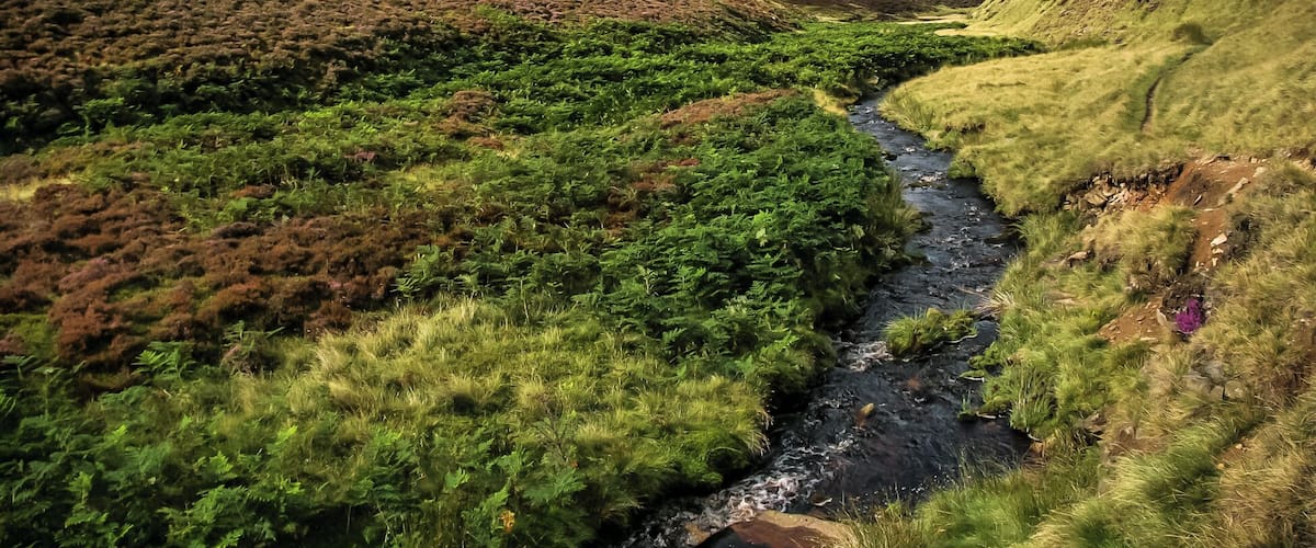 A river flowing through a valley with green vegetation and hills in the background.