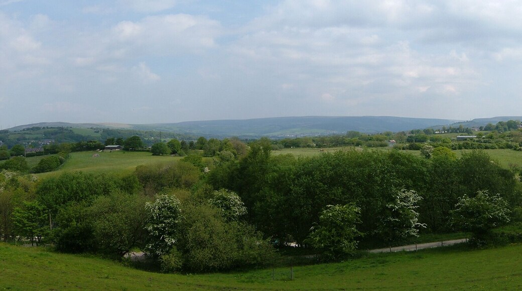 Chisworth is a hamlet near Glossop in Derbyshire. From the toll road, looking down over Kinderlee Mill (left) and its lodge. The land drops to the River Etherow at Broadbottom (not seen). Behind is Hollingworth and Hollingworthall Moor.
Camera location 53° 25âČ 35.4âł N, 2° 00âČ 27.36âł W View this and other nearby images on: OpenStreetMap - Google Earth 53.426500; -2.007600