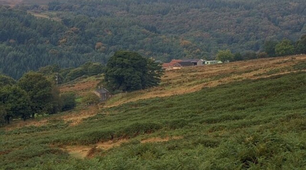 Hill Farm Viewed from across Allan Tofts. The smaller cottage on the left is Lins Farm.