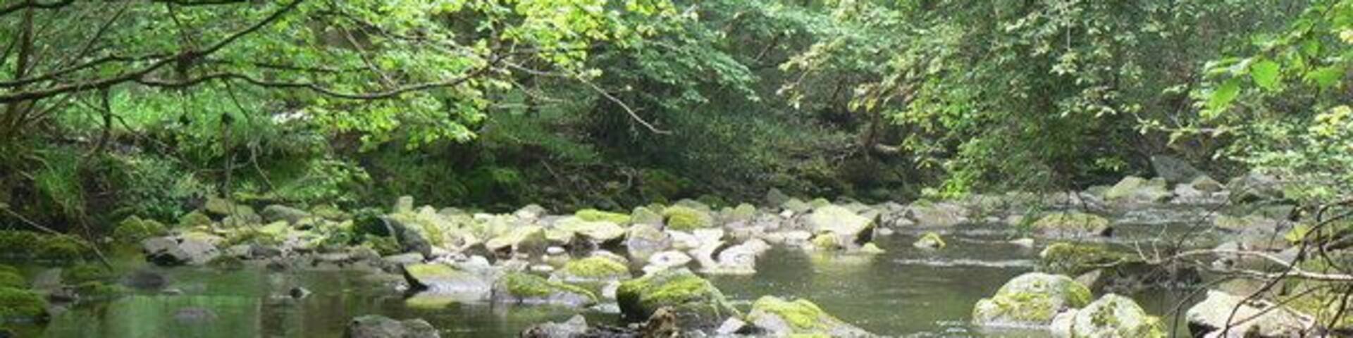 West Beck View from the North bank of the West Beck, adjacent to the foot bridge, looking down stream along West Beck.