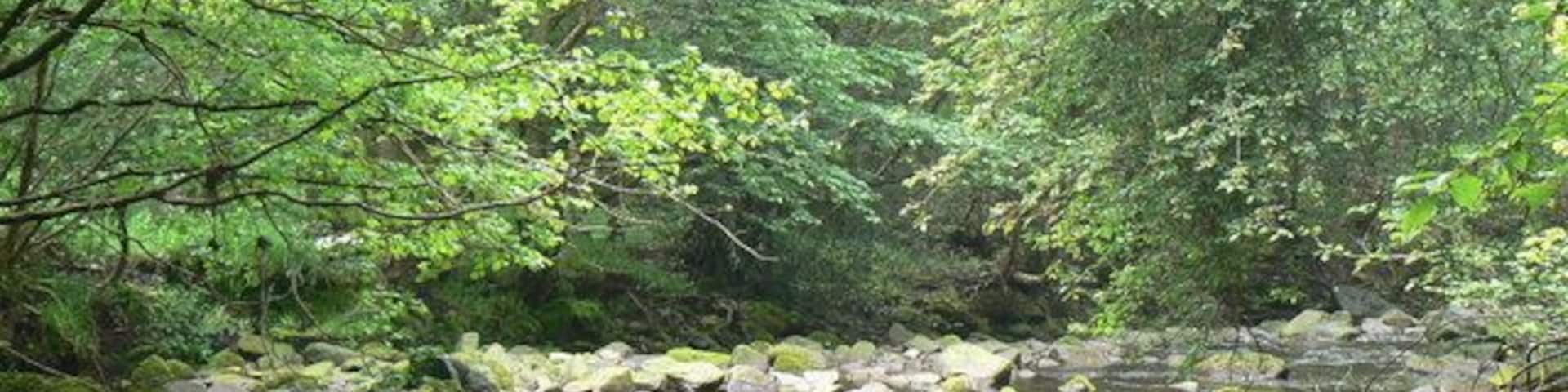 West Beck View from the North bank of the West Beck, adjacent to the foot bridge, looking down stream along West Beck.