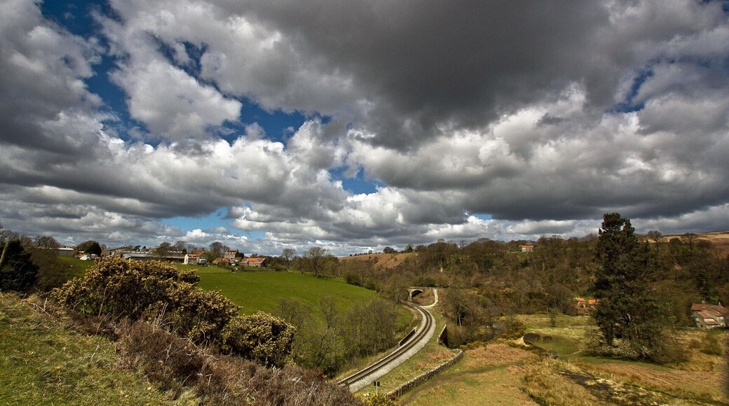 This is a small country village stood in time Goathland in the North Yorks Moors. Its the place which they films scenes from Harry Potter, the steam trains run from Pickering all the way up to Whitby also television program called Heartbeat about a country policeman.