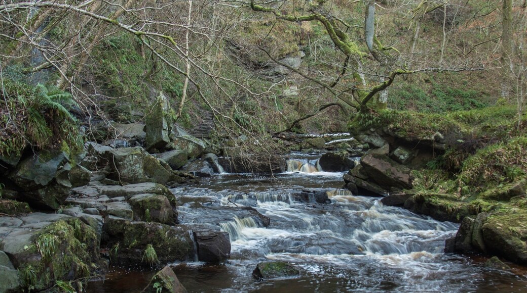Worth the sweat inducing walk down and scramble over the rocks. Make sure you have good footwear.