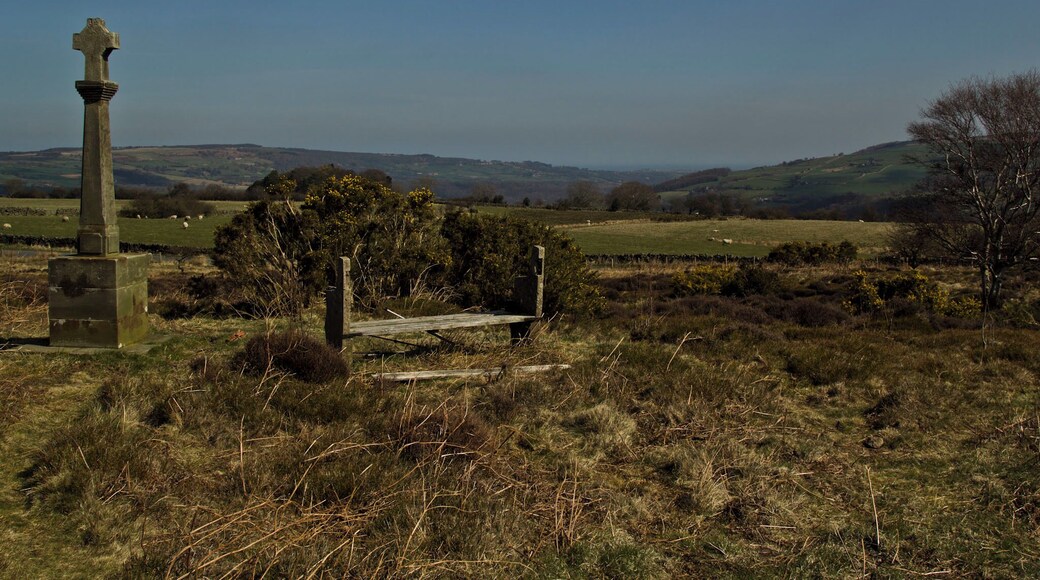 The standing stone was placed there for the monks who would walk the open moors to go or return from Whitby Abbey which is located just a few miles cross country from this stone in the direction this photograph shows..