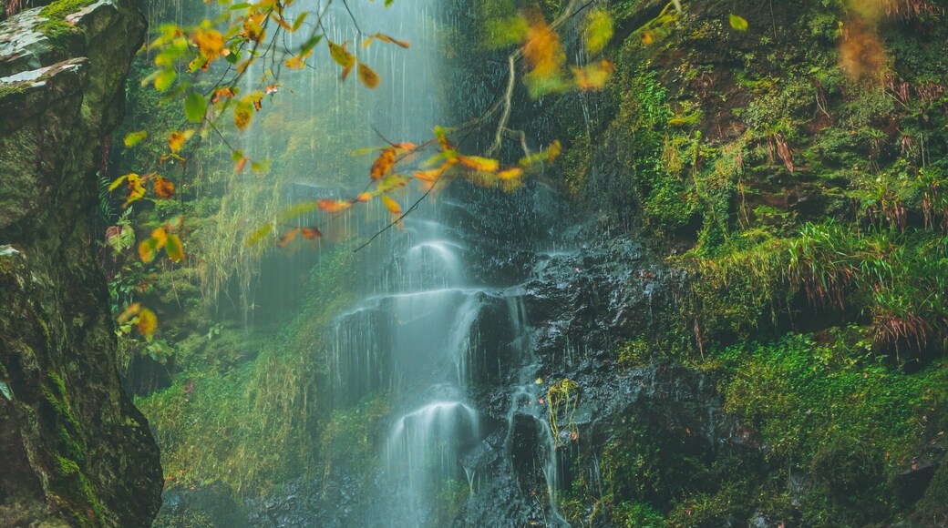 Beautiful waterfall in the heart of the North Yorkshire moors, love this shot of the autumn colours coming through on the leafs, #Trovember