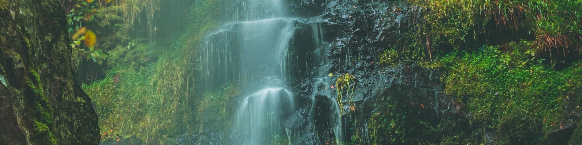 Beautiful waterfall in the heart of the North Yorkshire moors, love this shot of the autumn colours coming through on the leafs, #Trovember