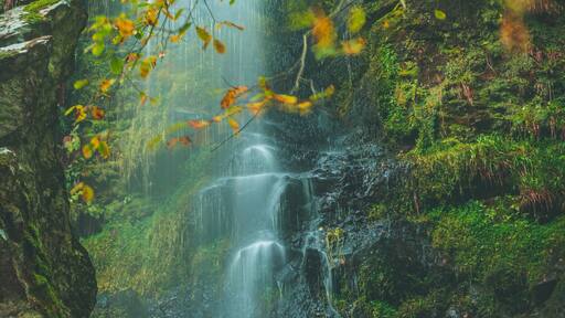 Beautiful waterfall in the heart of the North Yorkshire moors, love this shot of the autumn colours coming through on the leafs, #Trovember