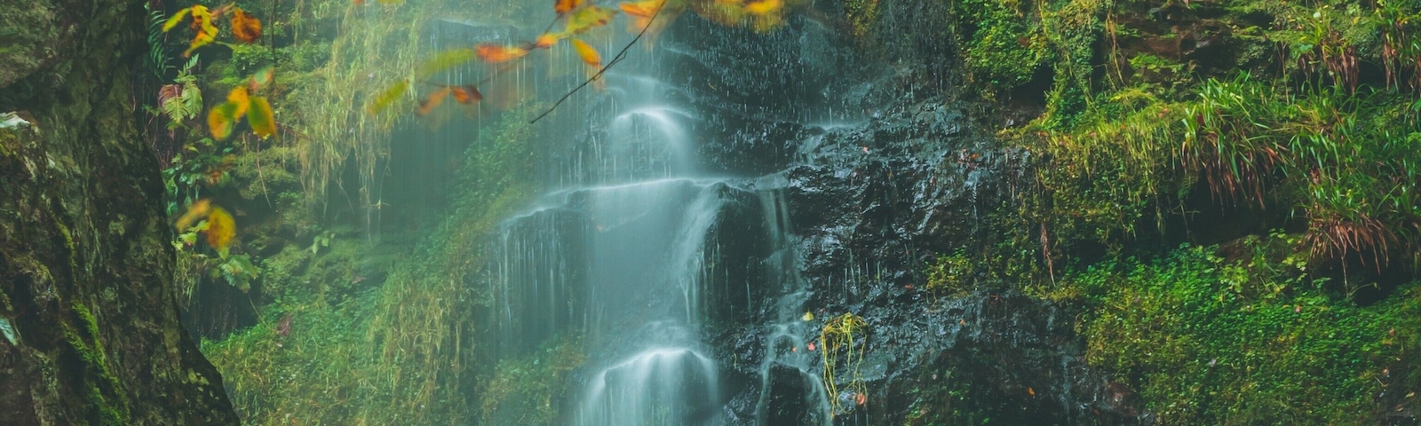 Beautiful waterfall in the heart of the North Yorkshire moors, love this shot of the autumn colours coming through on the leafs, #Trovember