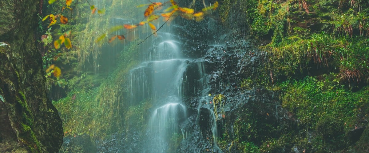A waterfall in a forested area with moss-covered rocks and autumn leaves.