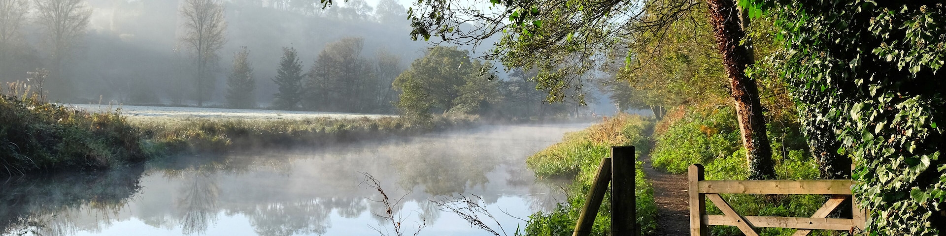 Un lago brumoso con una puerta de madera, rodeado de árboles y follaje.