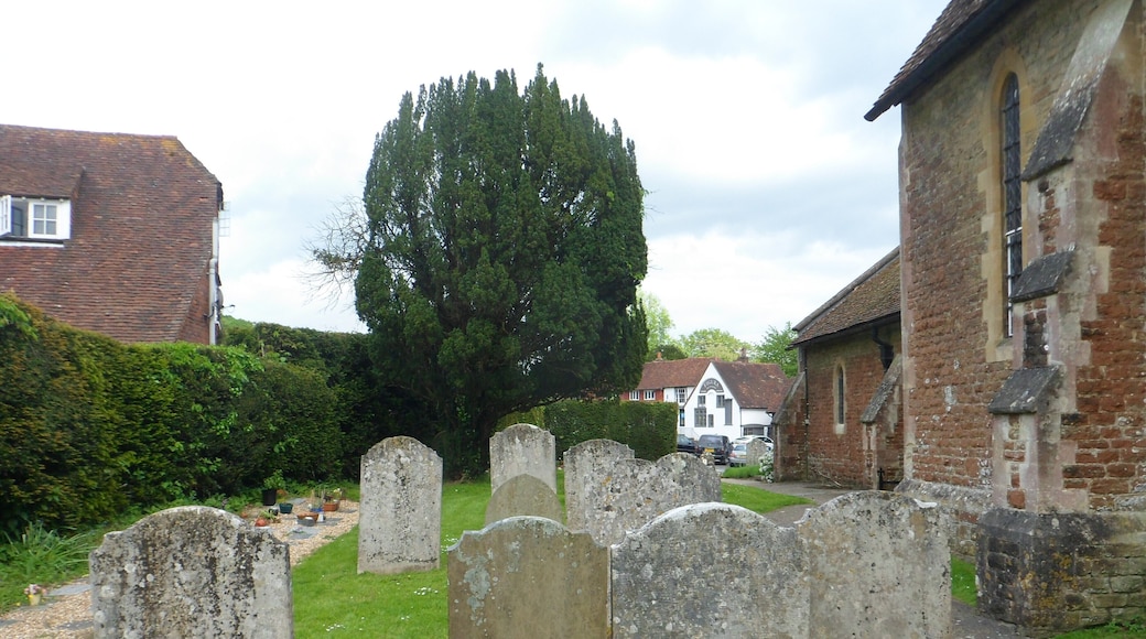 St Mary's Church, Petworth Road, Chiddingfold, Borough of Waverley, Surrey, England. This view shows part of the churchyard.