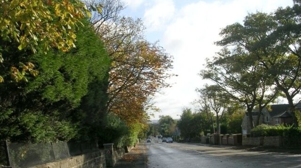 Dewsbury Road