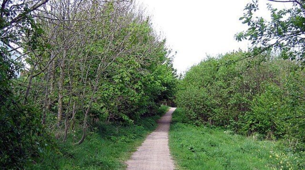 Haswell to Hart cycle track