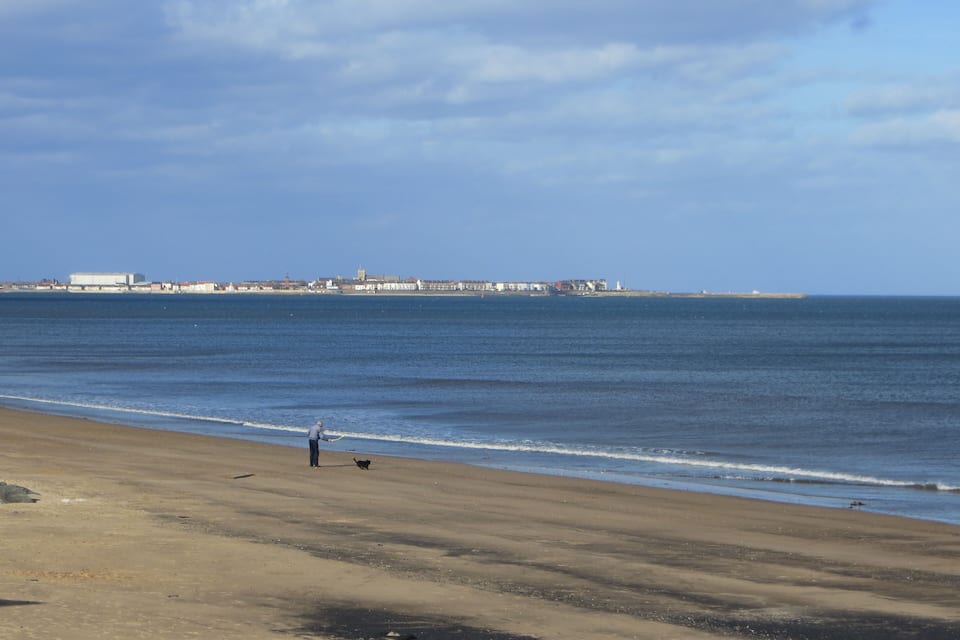 A beach with a person and a dog, a calm sea, and buildings in the distance.