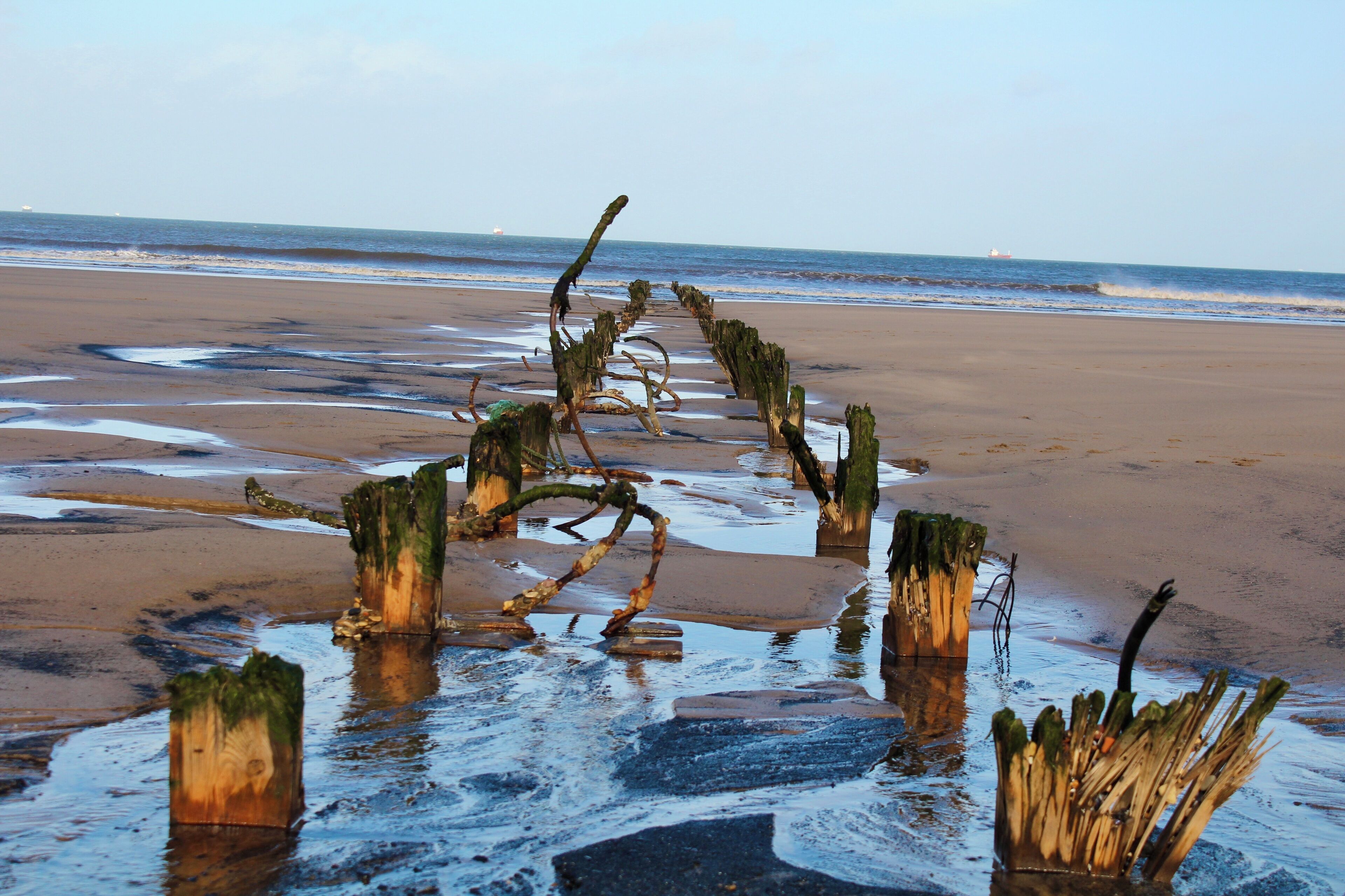 Old wooden posts in the beach 
