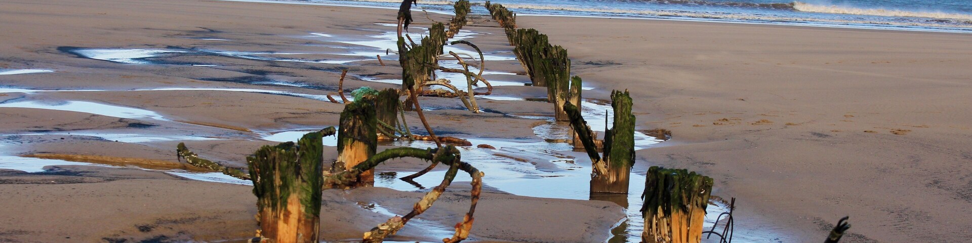 Una playa con madera a la orilla y un faro a lo lejos.