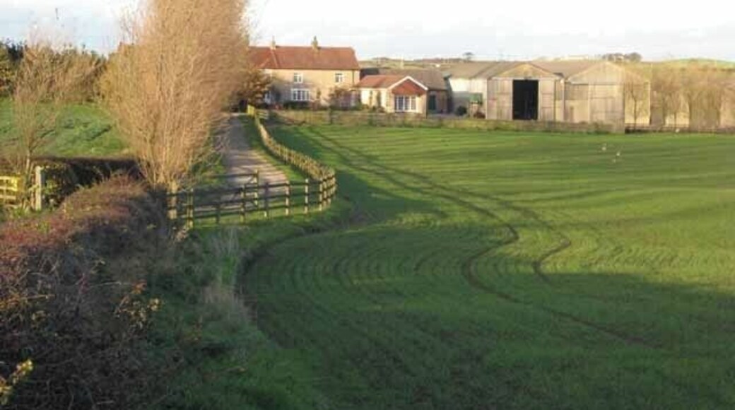High Barns Farm, Elwick