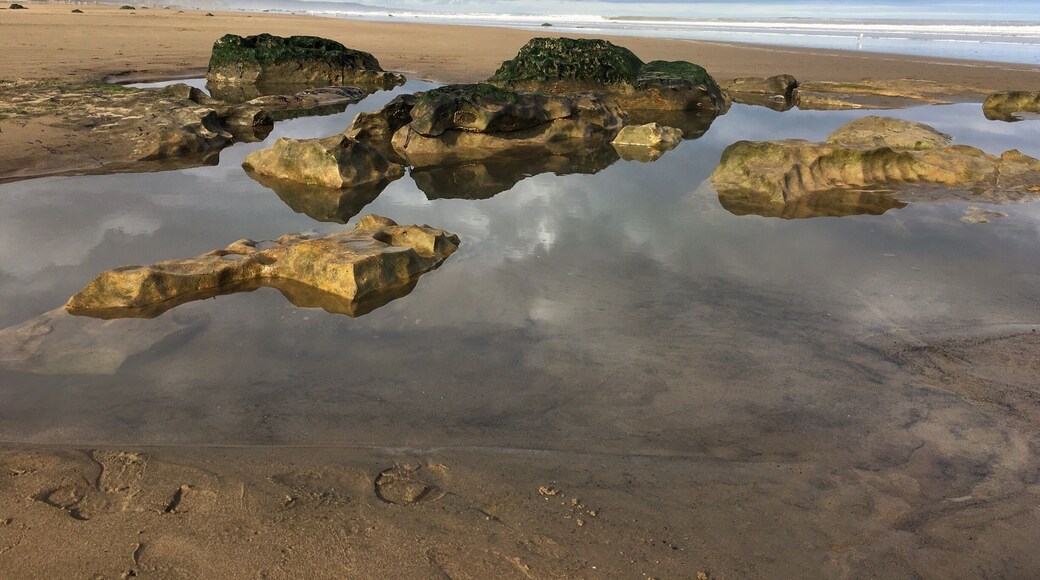 A great beach when the tide is out, another great October day in the North East of England. Car park is free and a steep walk down through the sand dunes to the sea