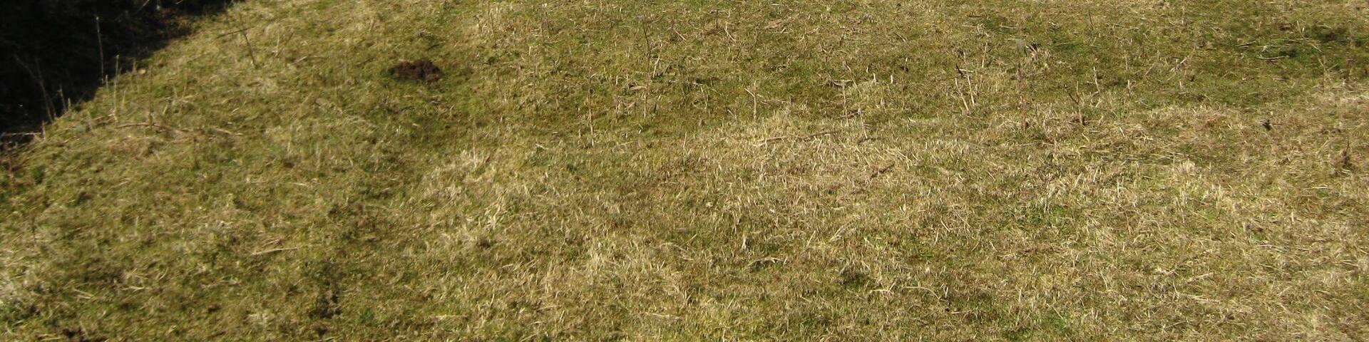 Green lane near High Stotfold Carrying a public footpath, an excellent wide lane