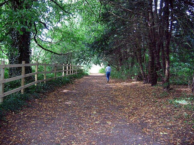 The "Red Squirrel Walk" through the Dene