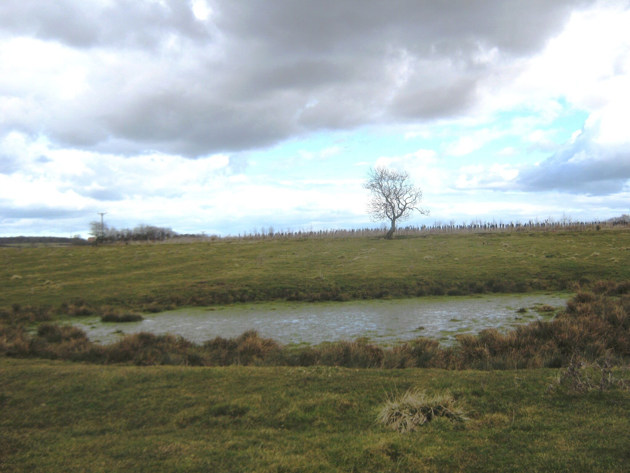 Established unmapped pond near Embleton Ordnance Survey have missed this one, a pair of Common Snipe had not