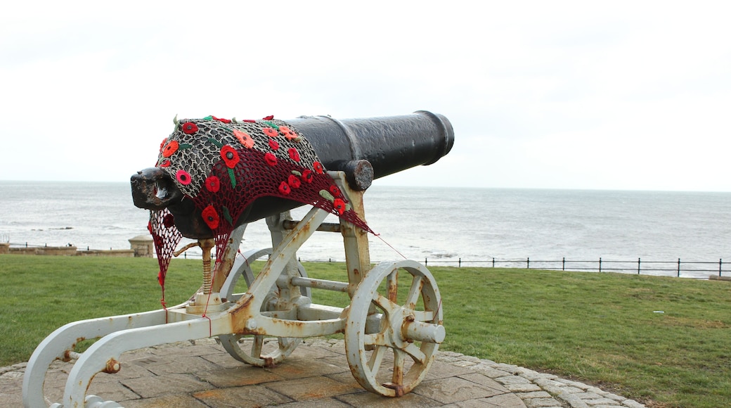 Hugh battery gun and museum