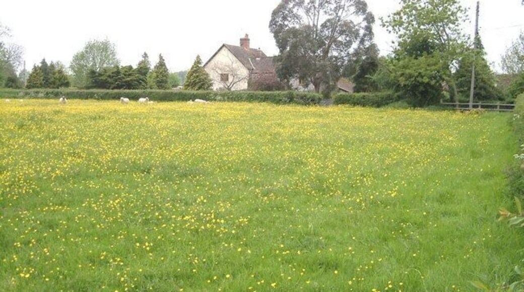 Fowler's Farm, Hatch Beauchamp. Seen across a field from the footpath past Higher Mill.