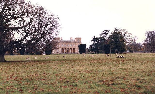 Hatch Court. Note the Fallow deer