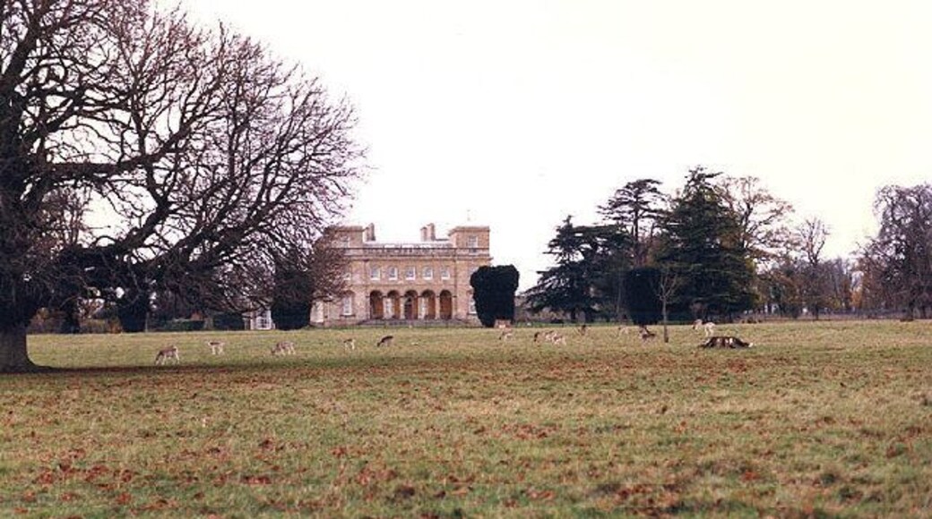 Hatch Court. Note the Fallow deer