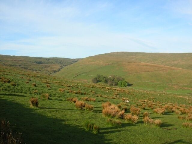 Rolling hills, green fields, and scattered trees.