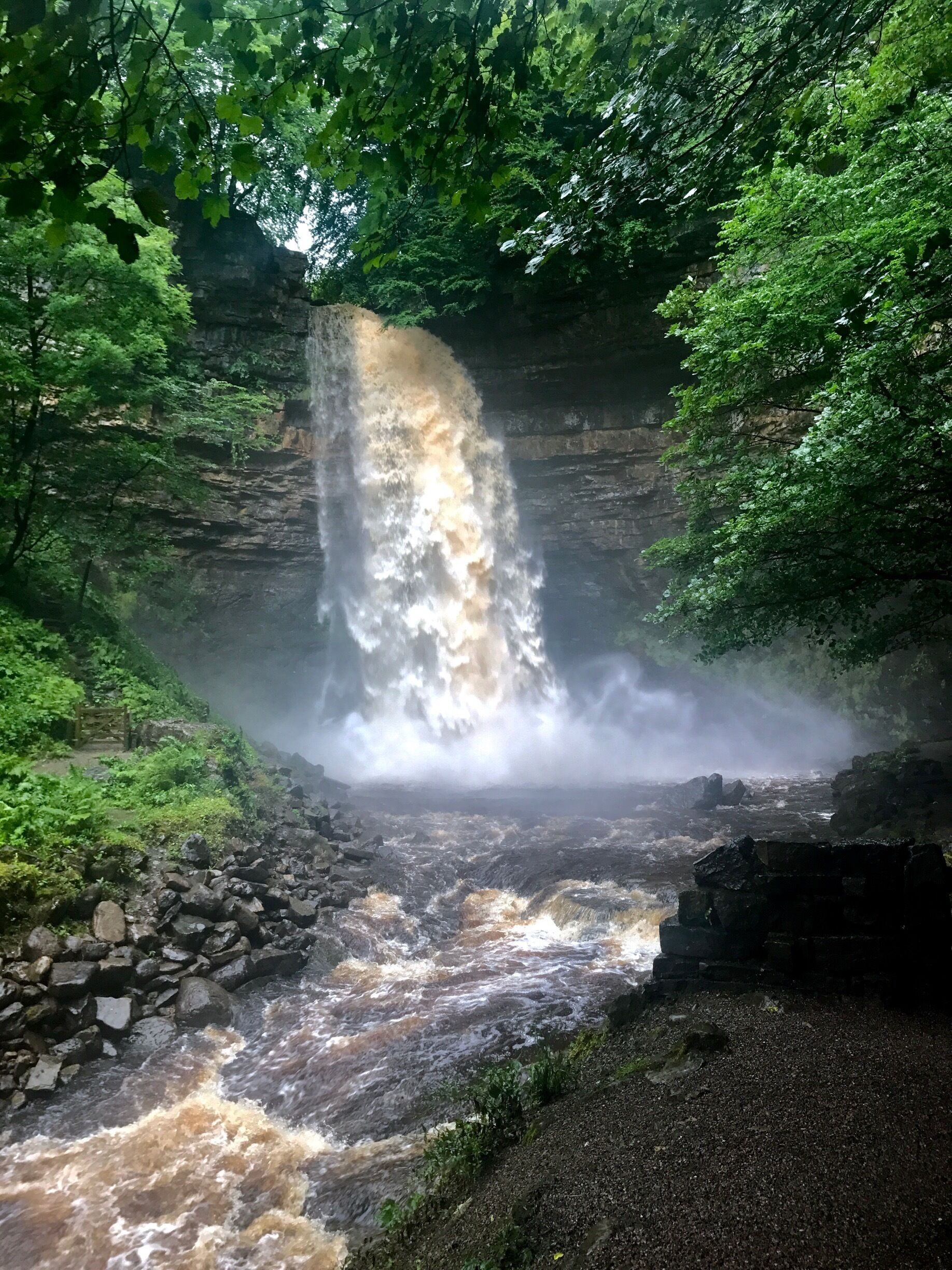 Hardraw force 