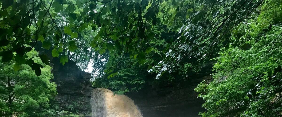 Hardraw force