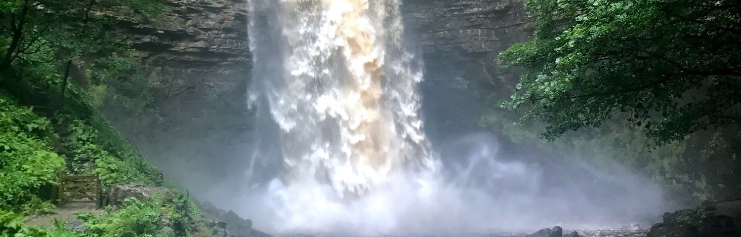 Hardraw force