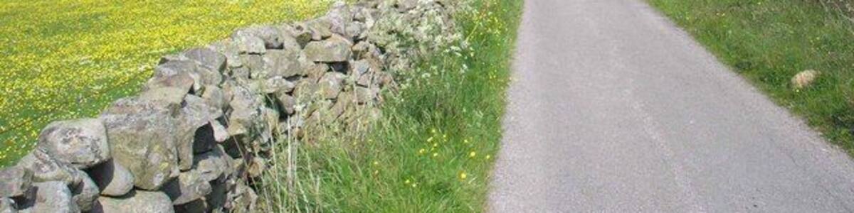Gaudy Lane. The Pennine Way coming into Gayle. The fields are full of buttercups.
