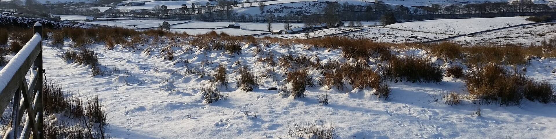 Looking across Wensleydale from above Hardraw.